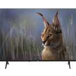 شاشه جاك 43بوصة بدون فريم NGLD43JD3120F